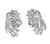 Platinum Diamond Earrings